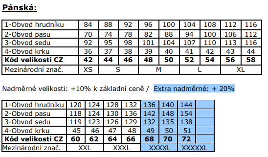 Snímek obrazovky 2025-06-02 102351